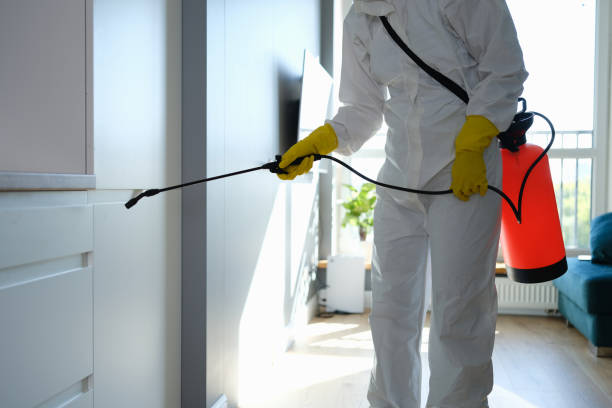 Best Residential Mold Remediation in Miles City, MT